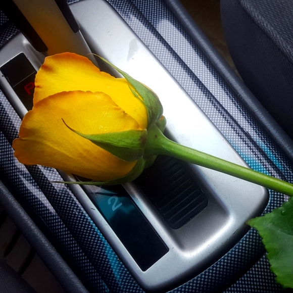 Meet your Posher, Anjie ๐จ๐ฆ - Picture 1 of 1